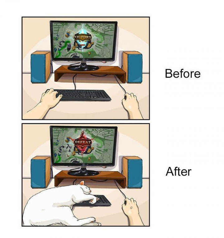 Bật cười trước loạt hình hài hước 'đời đảo lộn từ khi nuôi thú cưng' - 4