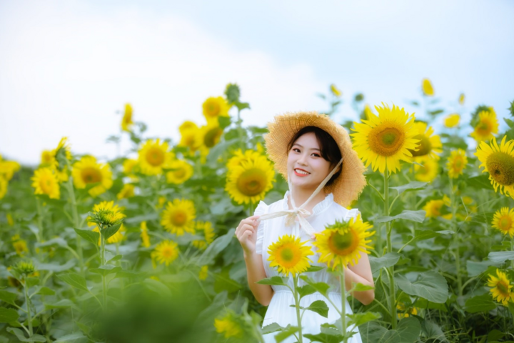 Đồi hoa mặt trời Ecopark khoe sắc đón thu sang - 5