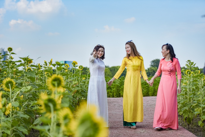 Đồi hoa mặt trời Ecopark khoe sắc đón thu sang - 6