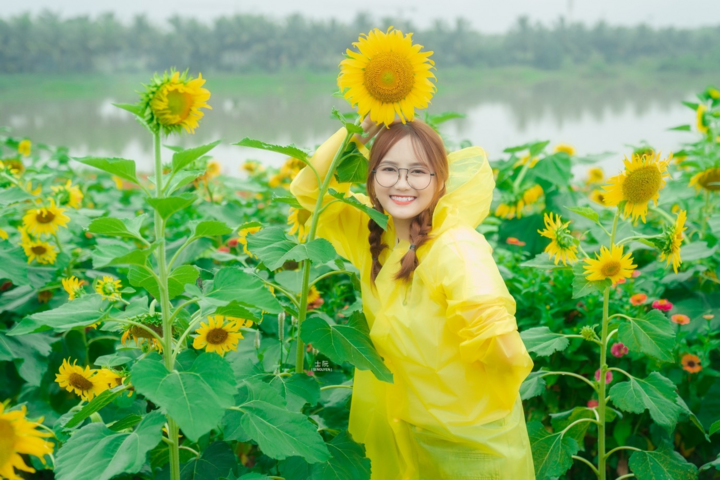 Đồi hoa mặt trời Ecopark khoe sắc đón thu sang - 7