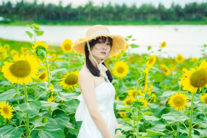 Đồi hoa mặt trời Ecopark khoe sắc đón thu sang - 8