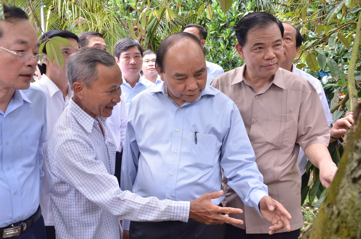 Thủ tướng khảo sát vùng chuyên canh sầu riêng tại Tiền Giang - 1