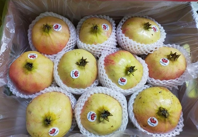 Đủ loại lựu ngoại đắt đỏ đổ vào Việt Nam - 2
