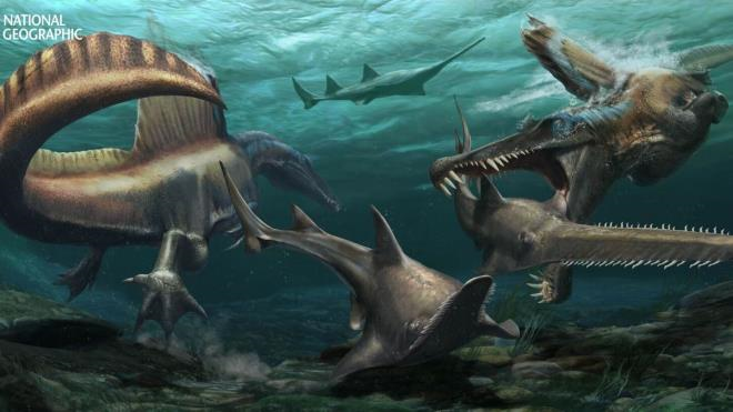 Hàng trăm chiếc răng hóa thạch hé lộ bất ngờ về loài khủng long hung ác - 1