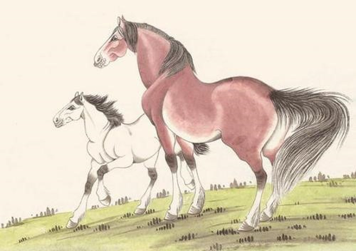 Tử vi hôm nay 26/9 của 12 con giáp: Tuổi Ngọ đổ vỡ trong tình yêu - 2