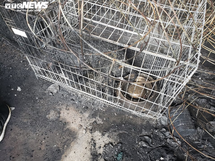 Ảnh: Kho chứa hải sản ở Quảng Nam bốc cháy ngùn ngụt - 7