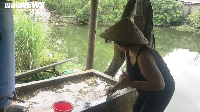 Làng cốm đất Cảng rộn ràng ngày Tết Trung thu - 4