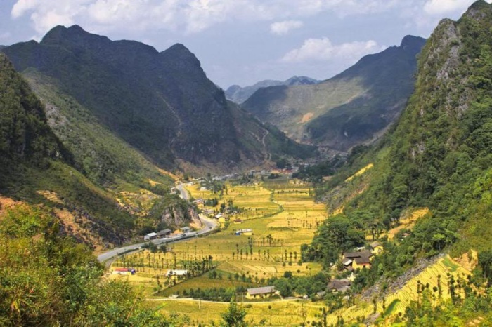 Đến Hà Giang ngắm mùa lúa chín đẹp nao lòng - 4