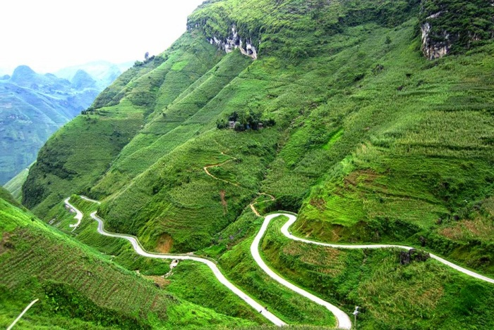 Đến Hà Giang ngắm mùa lúa chín đẹp nao lòng - 7
