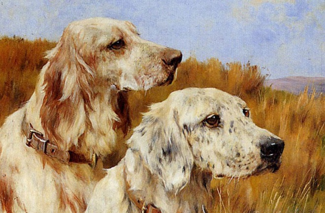 Tử vi hôm nay 29/9 của 12 con giáp: Tuổi Tý dễ cãi nhau với đồng nghiệp - 2