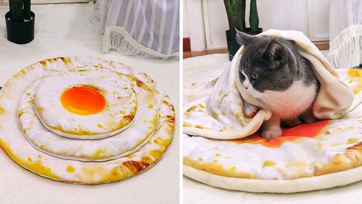 Những chiếc gối kỳ dị khiến tín đồ ẩm thực phát thèm - 19