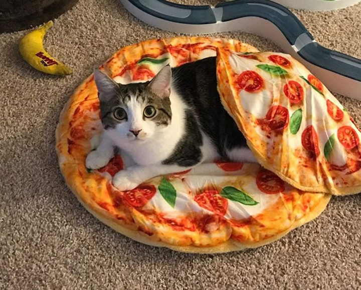 Những chiếc gối kỳ dị khiến tín đồ ẩm thực phát thèm - 20