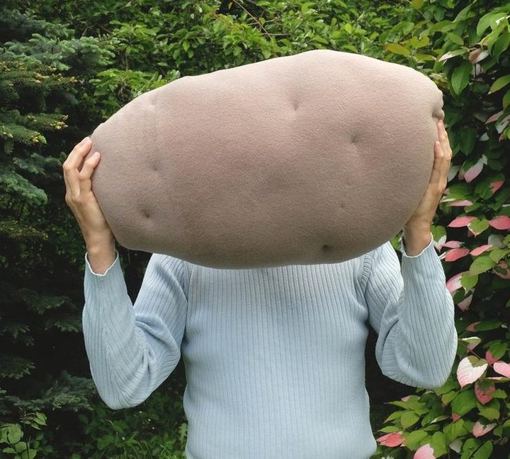 Những chiếc gối kỳ dị khiến tín đồ ẩm thực phát thèm - 18