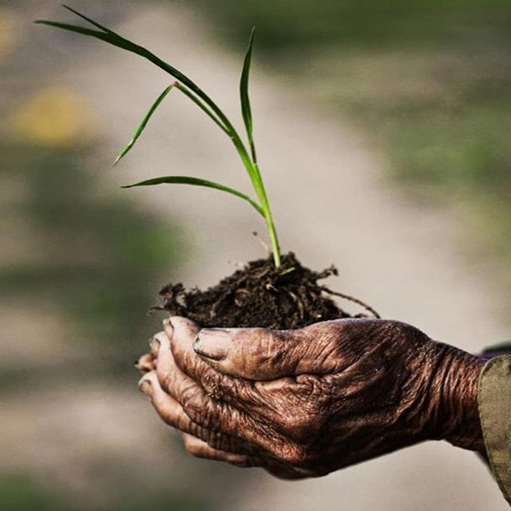 Bộ ảnh tuyệt đẹp về đời sống người Việt Nam trong mắt nhiếp ảnh gia Pháp - 8