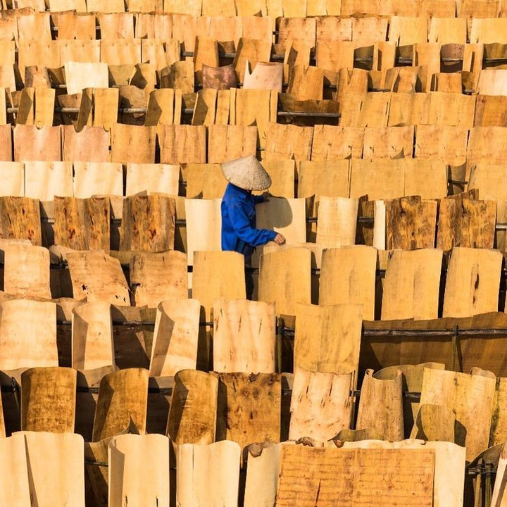 Bộ ảnh tuyệt đẹp về đời sống người Việt Nam trong mắt nhiếp ảnh gia Pháp - 7