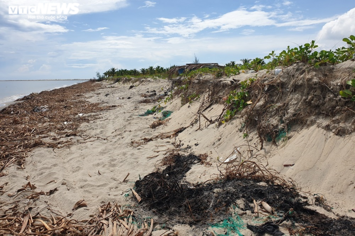Ảnh: Sóng biển 'ngoạm' sâu vào bờ, dân Quảng Nam nơm nớp lo sợ - 7