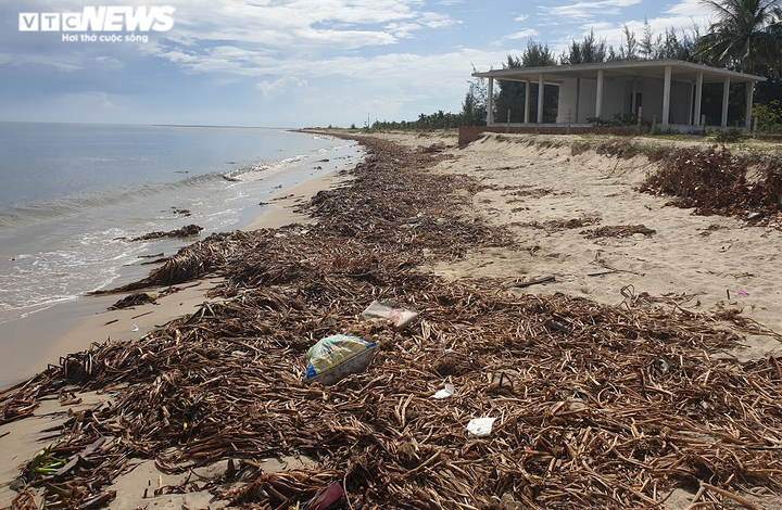 Ảnh: Sóng biển 'ngoạm' sâu vào bờ, dân Quảng Nam nơm nớp lo sợ - 5