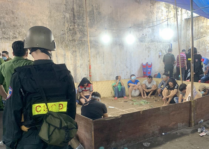 Nhiều cảnh sát bị xem xét trách nhiệm vì để trường gà hoạt động - 1