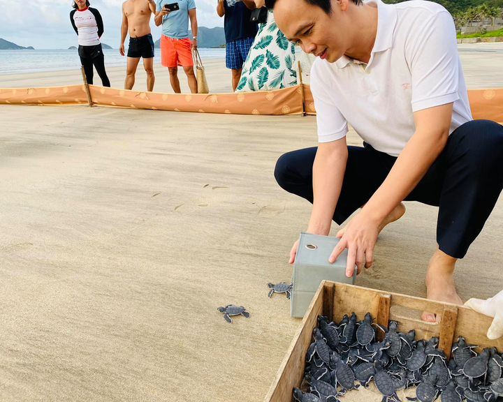 Chủ tịch Bamboo Airways chia sẻ trải nghiệm 'hộ tống' rùa con về biển ở Côn Đảo - 3