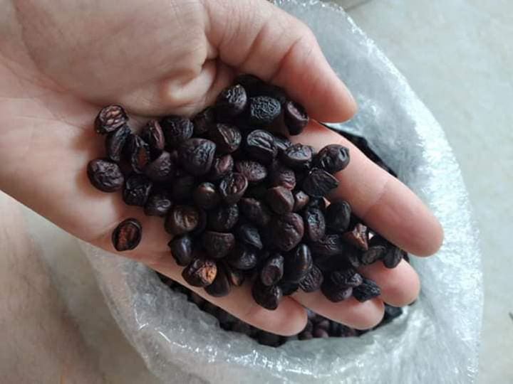 Hạt 'vàng' Tây Bắc vào mùa, khách đổ tiền triệu săn lùng - 1