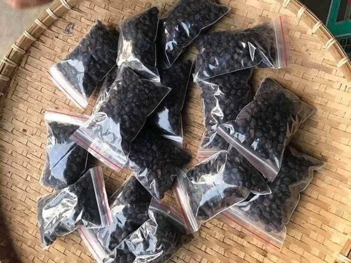 Hạt 'vàng' Tây Bắc vào mùa, khách đổ tiền triệu săn lùng - 2