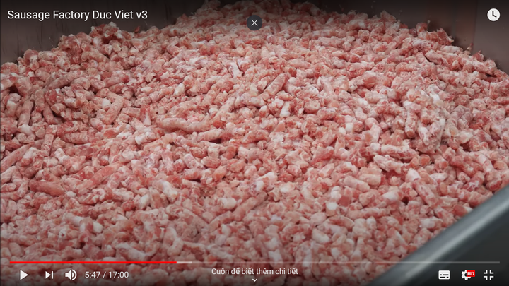 Kênh Youtube nổi tiếng thế giới tiết lộ 'bí mật' phía sau xúc xích Đức Việt - 4