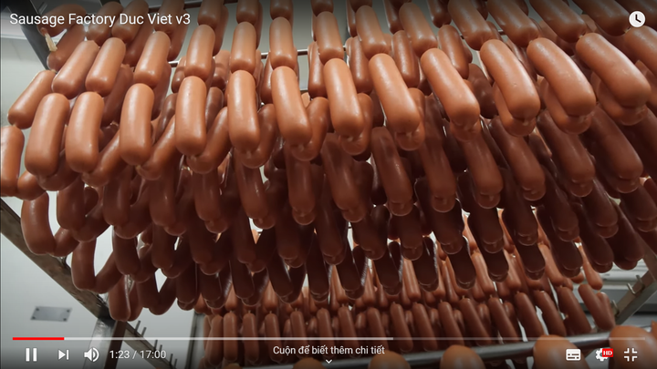 Kênh Youtube nổi tiếng thế giới tiết lộ 'bí mật' phía sau xúc xích Đức Việt - 6