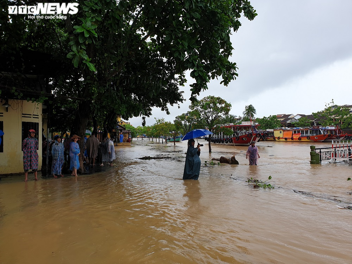 Người Quảng Nam dầm mình trong mưa dọn rác, khơi thông dòng chảy qua cầu An Hội - 10
