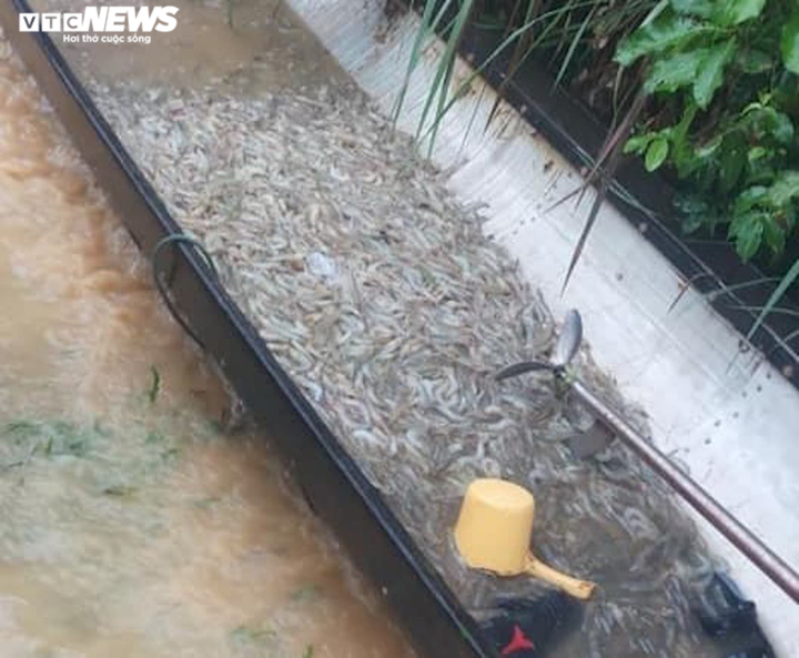 Ảnh: Miền Trung tiếp tục mưa lớn, nhiều vùng chìm trong biển nước - 9