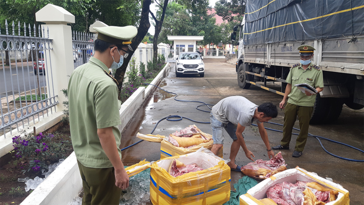 Thu giữ 300kg thịt heo nái bốc mùi hôi thối ở Đắk Lắk - 1