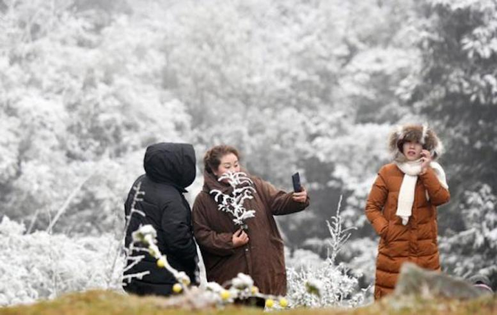 Năm nay rét đậm, rét hại đến sớm - 1