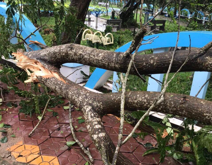 Bão số 6 làm toàn huyện đảo Lý Sơn mất điện, 4 người bị thương - 2