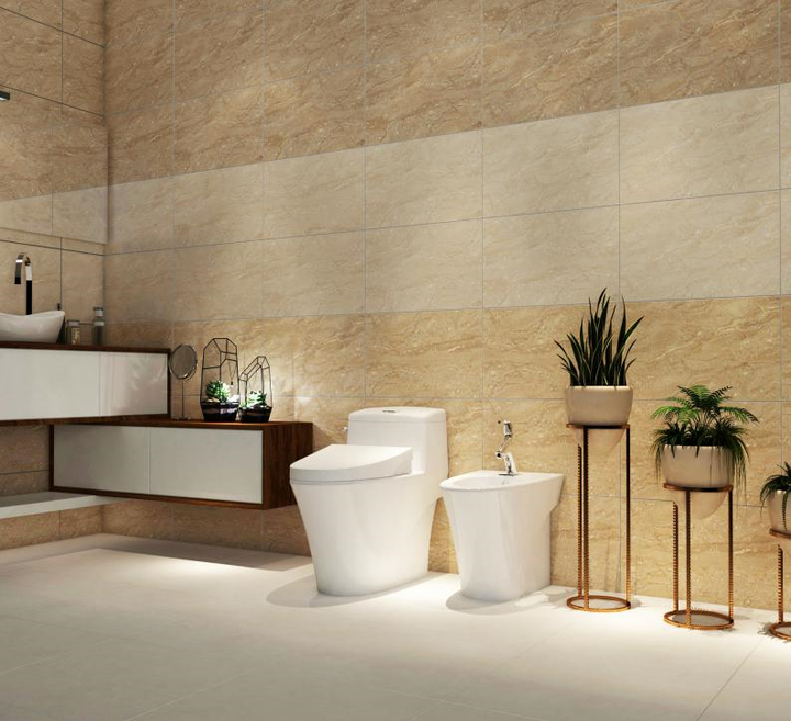 Sứ Thiên Thanh: Thương hiệu Việt với 70 năm tuổi đời - 1