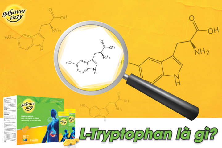 Tin vui cho người trào ngược: GasOver Fizzy ứng dụng thành công L-Tryptophan - 2