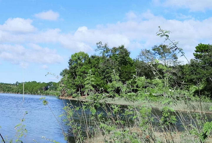 Có một Tây Nguyên xanh mát - 3