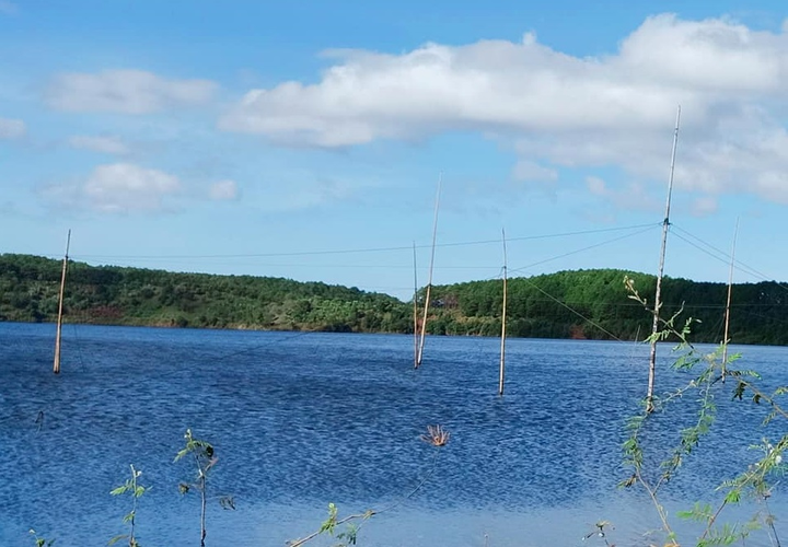 Có một Tây Nguyên xanh mát - 6