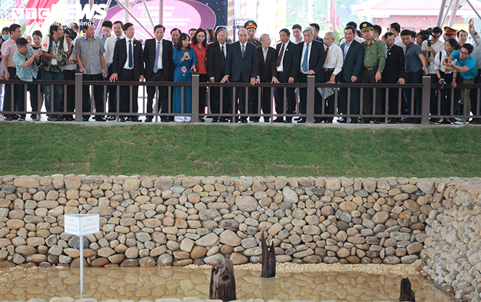 Khu bảo tồn bãi cọc Cao Quỳ ở Hải Phòng ‘lột xác’ sau gần 1 năm phát lộ - 13