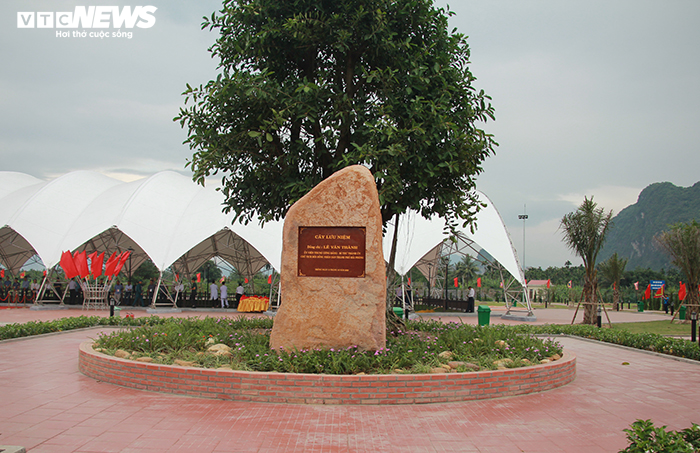 Khu bảo tồn bãi cọc Cao Quỳ ở Hải Phòng ‘lột xác’ sau gần 1 năm phát lộ - 16