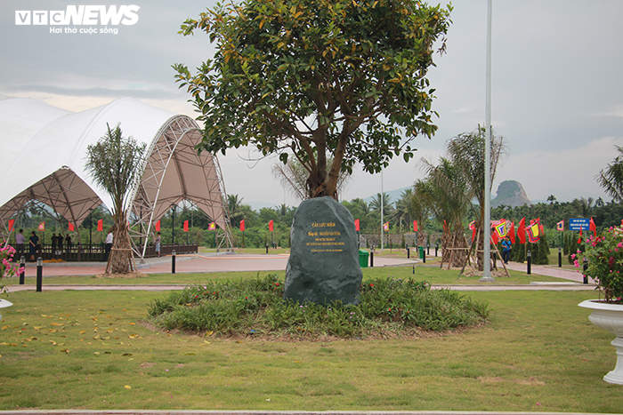 Khu bảo tồn bãi cọc Cao Quỳ ở Hải Phòng ‘lột xác’ sau gần 1 năm phát lộ - 17