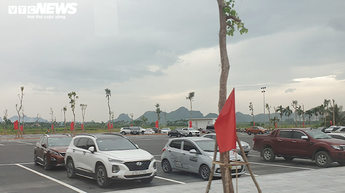 Khu bảo tồn bãi cọc Cao Quỳ ở Hải Phòng ‘lột xác’ sau gần 1 năm phát lộ - 19