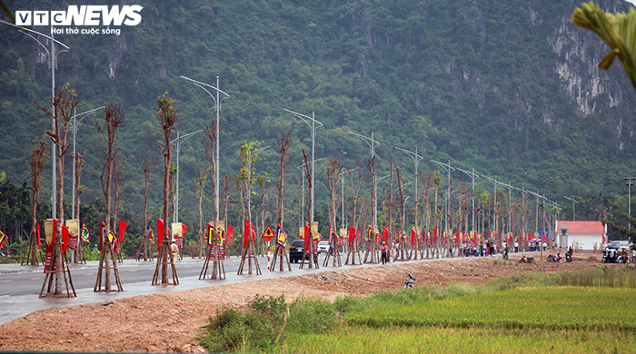 Khu bảo tồn bãi cọc Cao Quỳ ở Hải Phòng ‘lột xác’ sau gần 1 năm phát lộ - 4