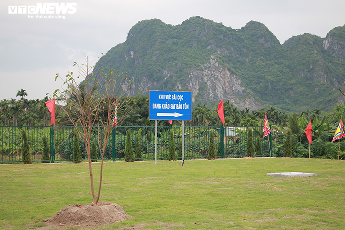 Khu bảo tồn bãi cọc Cao Quỳ ở Hải Phòng ‘lột xác’ sau gần 1 năm phát lộ - 11