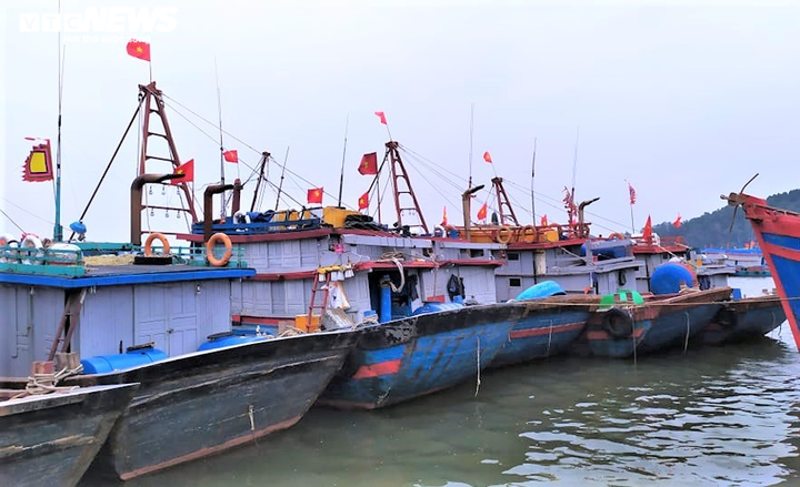 Thanh Hóa, Nghệ An kêu gọi hơn 10.000 tàu thuyền về tránh trú bão - 1