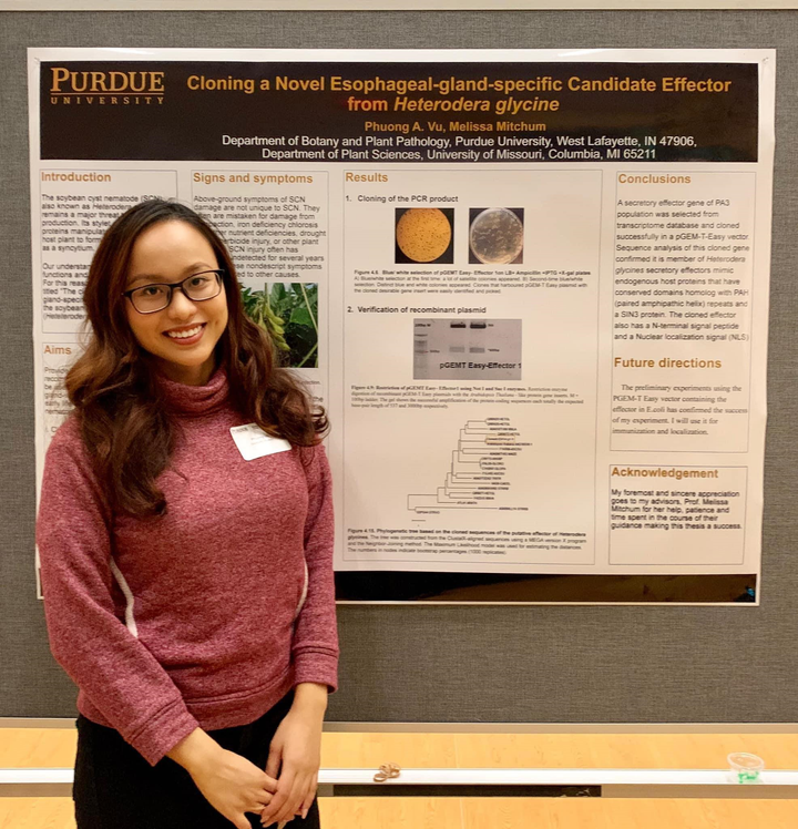 Vì sao các nghiên cứu sinh thường xuyên bị căng thẳng và trầm cảm? - 1