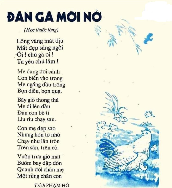 Dân mạng ‘lên cơn sốt’ hoài niệm nhớ thương những trang sách giáo khoa xưa - 5