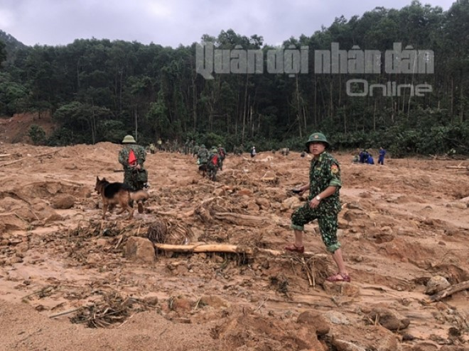Đưa chó nghiệp vụ tìm kiếm người mất tích trong vụ sạt lở kinh hoàng ở Huế - 6