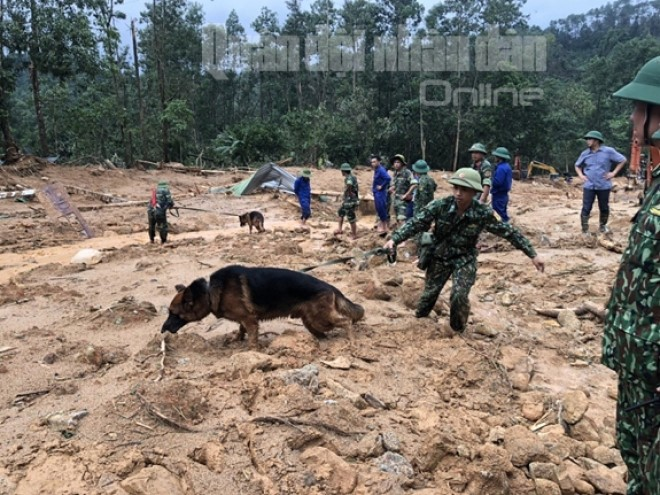 Đưa chó nghiệp vụ tìm kiếm người mất tích trong vụ sạt lở kinh hoàng ở Huế - 7