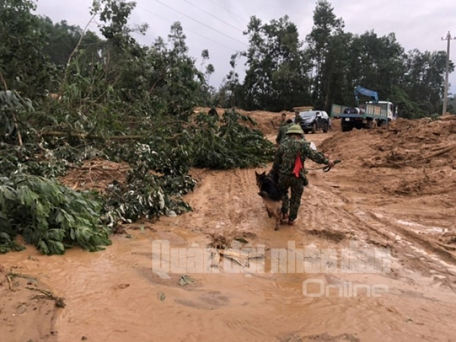 Đưa chó nghiệp vụ tìm kiếm người mất tích trong vụ sạt lở kinh hoàng ở Huế - 2