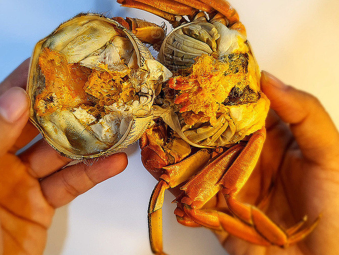 Từng gây sốt với giá tiền triệu, cua lông Hong Kong giờ rớt thảm - 2