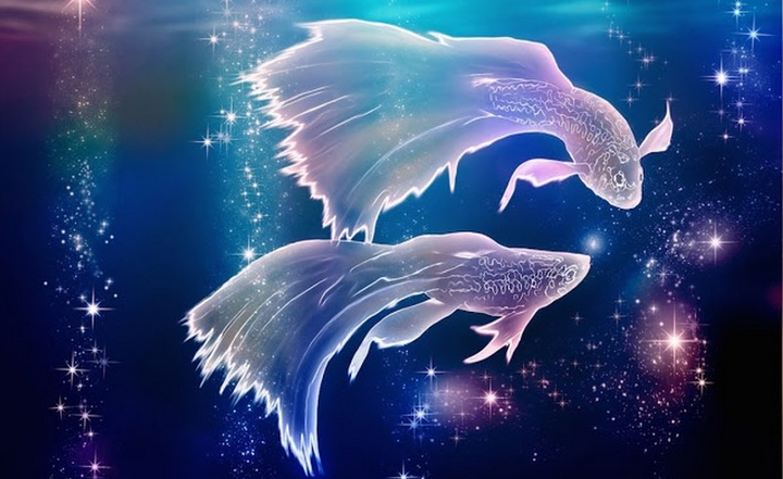 Ngày 16/10 của 12 cung hoàng đạo: Song Ngư gây tổn thất lớn trong công việc - 2